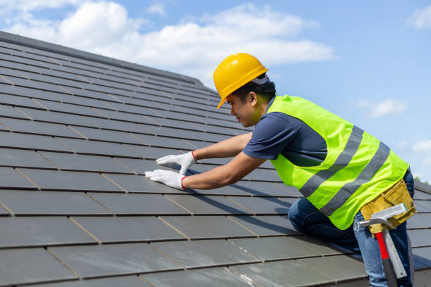 Best Roof Gutter Cleaning  in Davis, CA